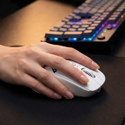 Souris bluetooth ergonomique tapis clavier bureau