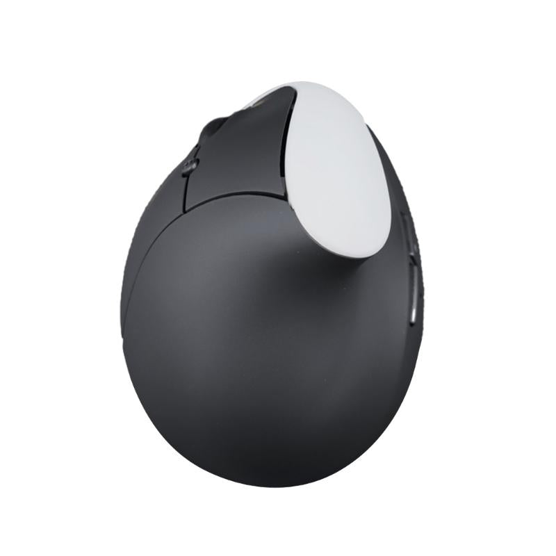 souris ergonomique noire blanc