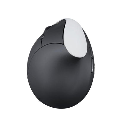 souris ergonomique noire blanc